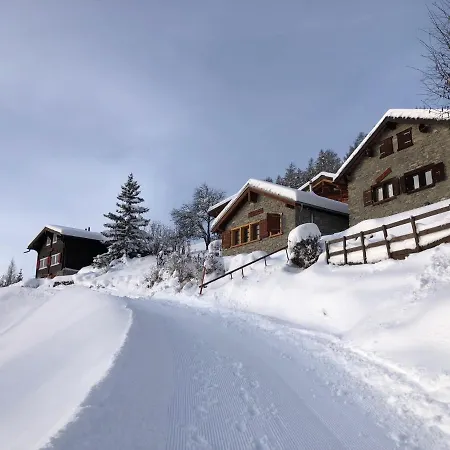 Chalet Tiny House Facing The Alps - In, Out *