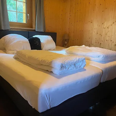 Chalet Tiny House Facing The Alps - In, Out *