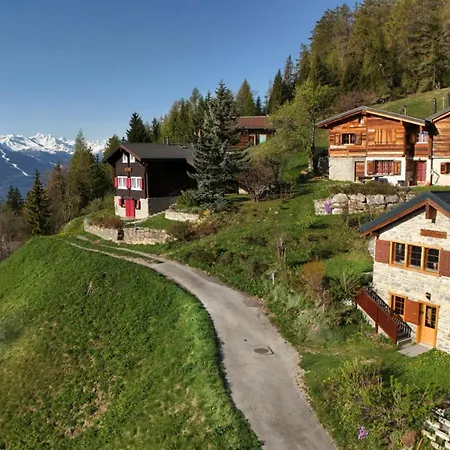Tiny House Facing The Alps - In, Out Anzère