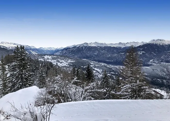 Tiny House Facing The Alps - In, Out Dağ evi Anzère