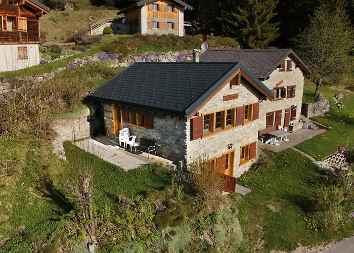 Tiny House Facing The Alps - In, Out * Anzère