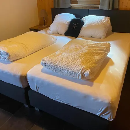 Tiny House Facing The Alps - In, Out シャレー アンゼール